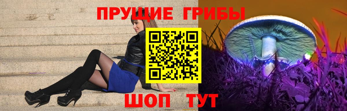 Галлюциногенные грибы Psilocybine cubensis Мелеуз